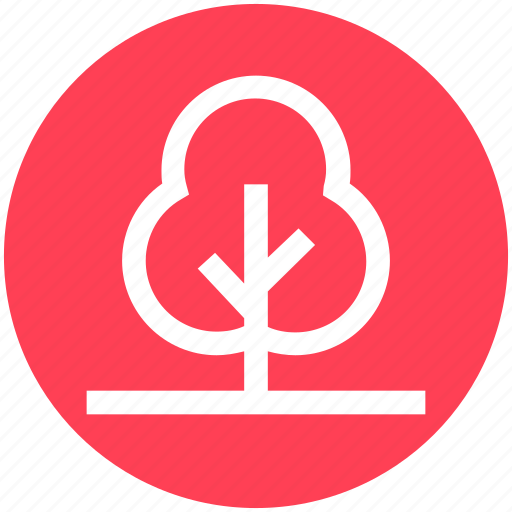 Forest, garden, nature, park, plant, tree icon - Download on Iconfinder