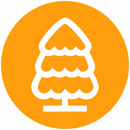 Cypress, ecology, forest, nature, park, tree icon - Download on Iconfinder