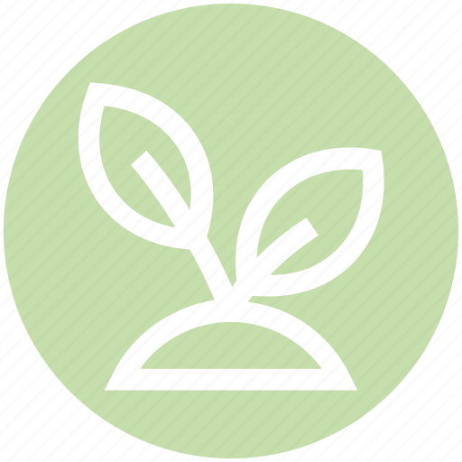 Flower, garden, leaf, nature, plant, pot icon - Download on Iconfinder