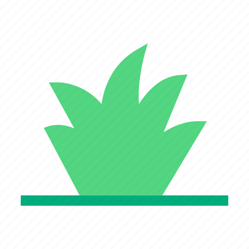 Grass, plant, nature, garden, forest, gardening, tree icon - Download on Iconfinder