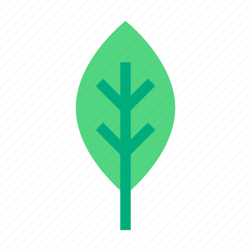 Leaf, plant, floral, flower, tree, nature, garden icon - Download on Iconfinder