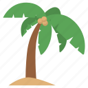 palm, palm tree, pam, tree, beach, paradise, island 