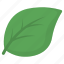 leaf, nature, ecology, environment, green, nature emoji 