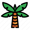 palm tree, tree, nature, coconut, tropical, island, beach, garden