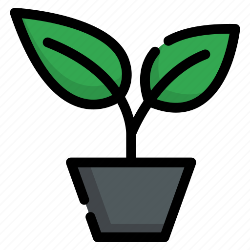 Plant, leaf, pot, nature, garden, botanical, green icon - Download on Iconfinder