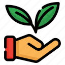 plant, growth, hand, leaf, agriculture, eco friendly, ecology, nature