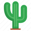 cactus, plant, nature, mexico, saguaro