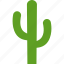 cactaceae, cacti, cactus, dessert, dry, green, plant 