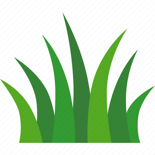 Grass, green, poaceae, gramineae, grasses, grassland, turf icon - Download on Iconfinder