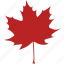 autumn, canada, canadian, fall, leaf, maple, red 