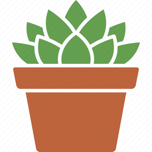 Cooperi, haworthia, houseplant, plant, potted, succulent, succulents icon - Download on Iconfinder