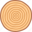 age, dating, dendrochronology, growth, ring, rings, tree 