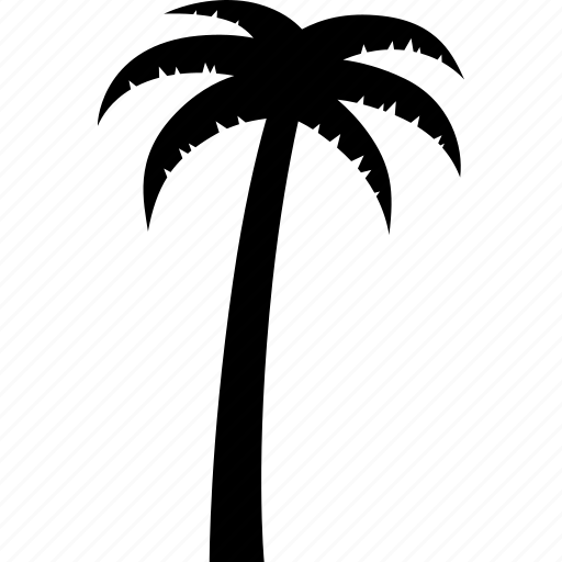 Arecaceae, coconut, palm, palmae, tree, tropical, vacation icon - Download on Iconfinder