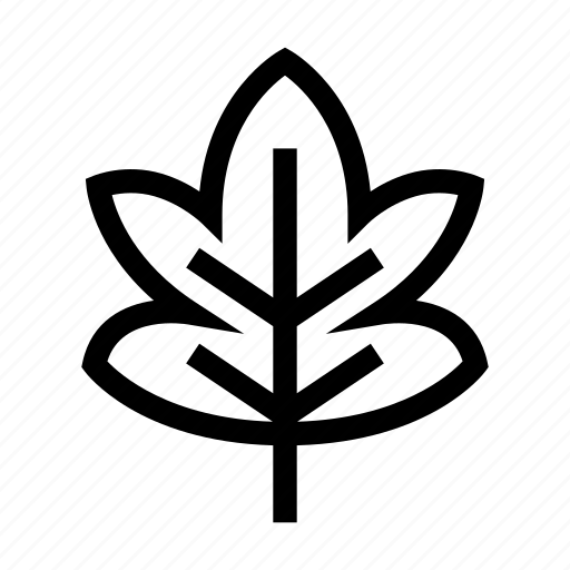Maple, autumn, leaf, leaves, plant, garden icon - Download on Iconfinder