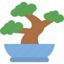 bonsai, feng shui, nature, plant, pot