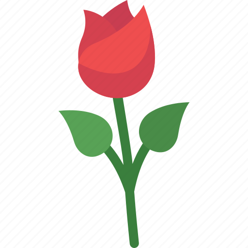 Date, flower, gift, love, rose icon - Download on Iconfinder