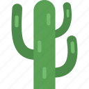 cactus, desert, nature, tree