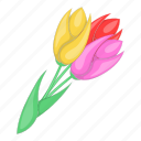 floral, flower, nature, tulip