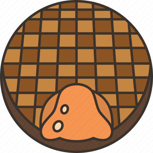 Stroopwafel, cookie, waffle, dessert, baked icon - Download on Iconfinder