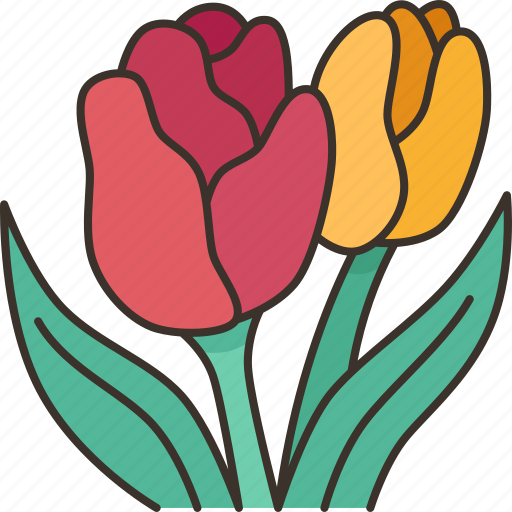 Tulips, flower, blossom, netherlands, nature icon - Download on Iconfinder