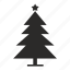 fir, home, new, star, year, christmas, tree, xmas 