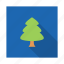 forest, ornament, pine, tree 