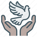 peace, hands, dove, hope, pigeon, freedom