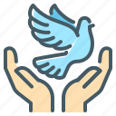 peace, hands, dove, hope, pigeon, freedom