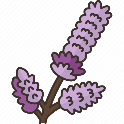 Heather, flower, blossom, plant, norway icon - Download on Iconfinder