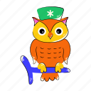 owl nurse, owl doctor, sitting owl, cute owl, owl bird