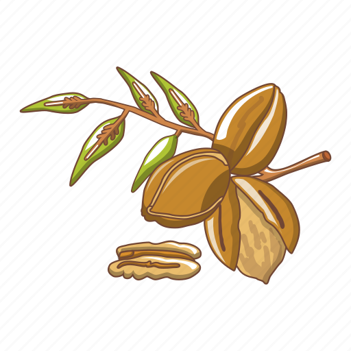 Brown, cartoon, closeup, food, group, leaves, pecan icon - Download on Iconfinder