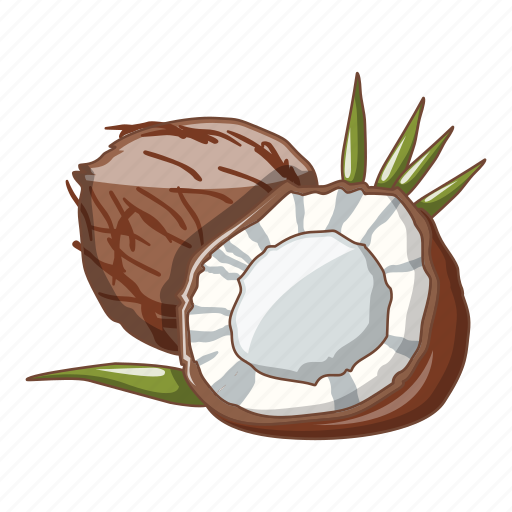 Cartoon, coconut, food, fresh, fruit, healthy, nutrition icon - Download on Iconfinder