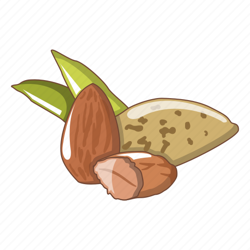 Almond, cartoon, closeup, diet, element, nut, nuts icon - Download on Iconfinder