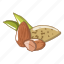 almond, cartoon, closeup, diet, element, nut, nuts 