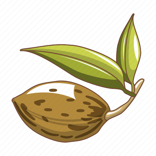 Almond, cartoon, closeup, food, gourmet, healthy, nut icon - Download on Iconfinder