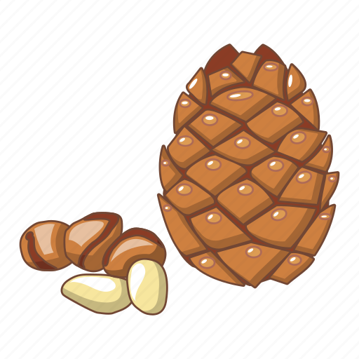 Aroma, branch, cartoon, cedar, cone, nut, vik49 icon - Download on Iconfinder