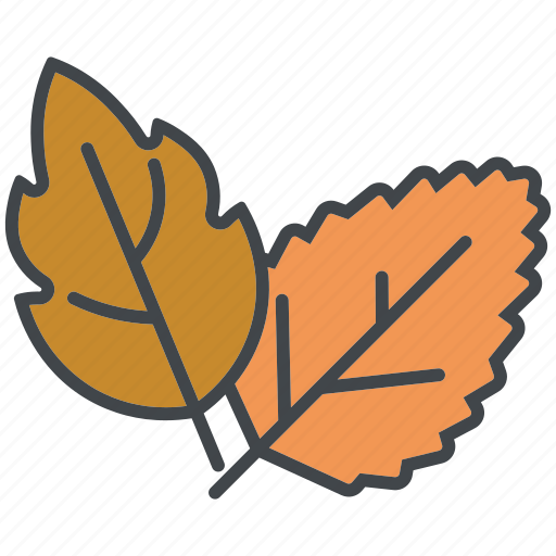 Autumn, fall, foliage, garden, gardening, leaves, nature icon - Download on Iconfinder