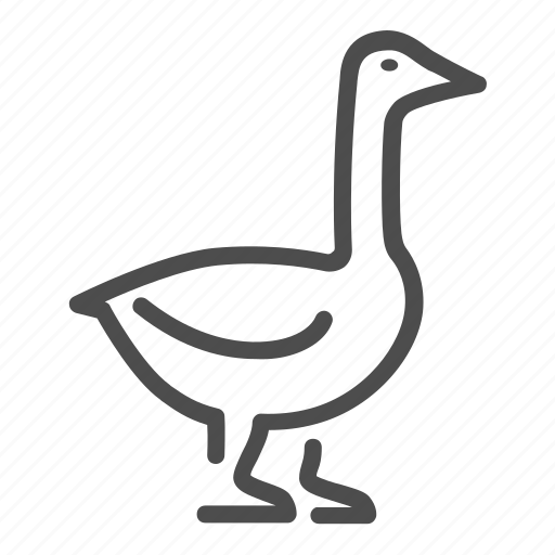 Goose, bird, farm, poultry, animal, beak icon - Download on Iconfinder