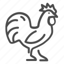 rooster, farm, cock, bird, animal, tail