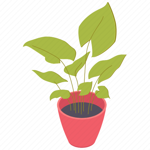 Houseplant, leaves, plant, pot icon - Download on Iconfinder