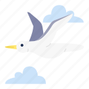 bird, seagull, fly, gull, feather, cloud, sea, wings, ornithology
