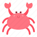 crab, crabs, animal, claw, clamp, shell, seafood, sea, wild