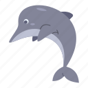 dolphin, mammal, fish, aquarium, fauna, zoo, animal, sea, beach