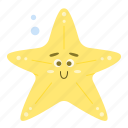 starfish, summer, beach, aquatic, echinoderm, sea star, star, fish, sea