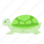 turtle, sea turtle, tortoise, zoo, shell, reptile, chelonioidea, sea, animal 