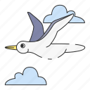 bird, seagull, fly, gull, feather, cloud, sea, wings, vacation