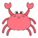 crab, crabs, animal, claw, clamp, shell, seafood, sea, wild