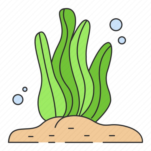 Seaweed, plant, sea plant, algae, vegetable, underwater alga, cladophora icon - Download on Iconfinder