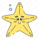 starfish, summer, beach, aquatic, echinoderm, sea star, star, sea, vacation