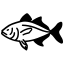 hatchetfish, fish, sea, creature, aquatic, biodiversity, nocturnal, predators, evolutionary, biology 